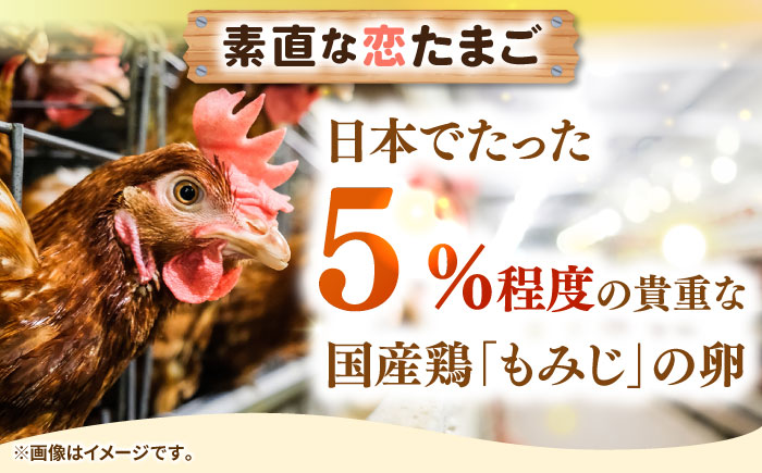 【全2回定期便】特選 素直な恋たまご 30個 《壱岐市》【しまのたまご屋さん】  卵 たまご 鶏卵 玉子 ギフト 国産 卵かけご飯 たまごかけご飯 のし 定期便 [JAP018]