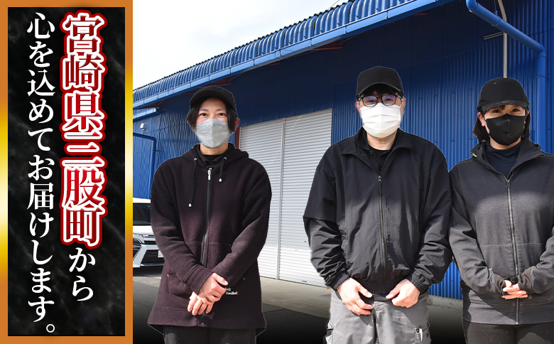 ＜宮崎県産豚肉切り落とし2.5kg 真空パック＞ 国産 豚 ぶた肉 ぶた 精肉 肉 切落し 小分け 個包装 使い勝手 料理 豚丼 豚汁 おかず 【MI448-hr】【肉の豊楽】