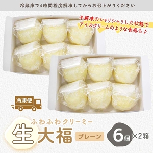 ふわふわクリーミー生大福プレーン 6個入り 2箱【大福 和菓子 生大福 スイーツ クリーム アイス おやつ 手土産 お取り寄せ ギフト グルメ 贈答 冷凍 亀印製菓 茨城県 水戸市】（MP-6)