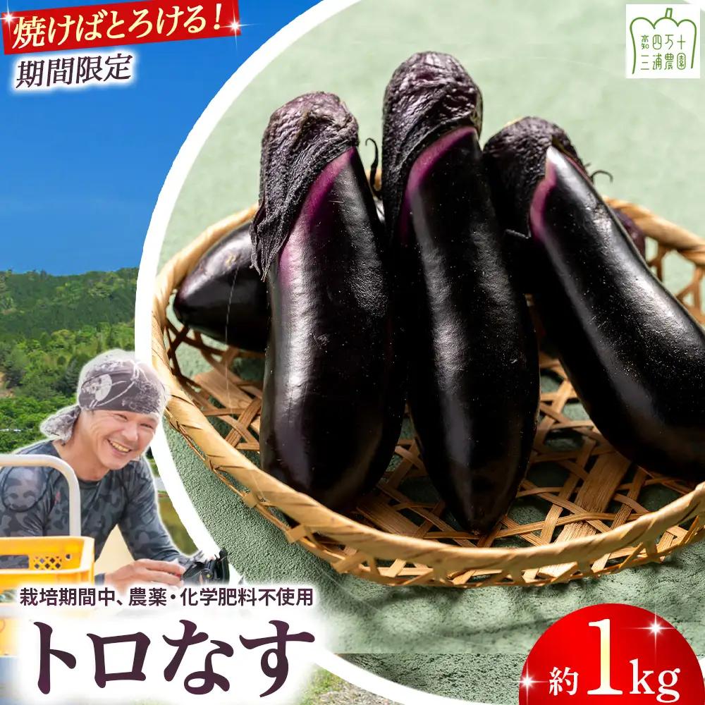 【予約受付】【期間限定】 焼いてトロける！三浦農園のトロなす1kg 栽培期間中農薬・化学肥料不使用 ／Fms-15 農産物 新鮮 焼きナス 野菜 大量 