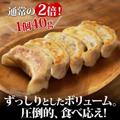 ふるさと納税 弟子屈町 よだれ餃子 10個入 4パック 計40個 1個40gのボリューム 北海道弟子屈町 1812 |  | 01