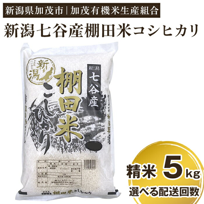 【ふるさと納税】【令和7年産新米先行予約】 新潟県加茂市 七谷産 棚田米コシヒカリ 精米5kg 選べる配送回数（通常配送1回〜定期便12回） 《10月中旬から順次出荷》 白米 加茂有機米生産組合