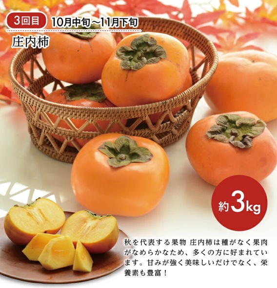 SE0486　【3回定期便】酒田の美味しい果物！甘くて瑞々しい旬をお届け便2026 (アールスメロン、刈屋梨、庄内柿)