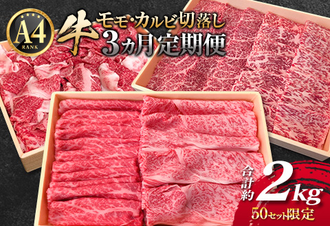 ［50セット限定］こゆ牛バラエティ 3ヵ月定期便（A4等級以上）※2025年10月配送開始【E142-04】