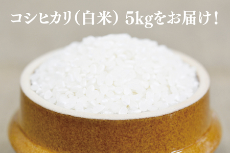 AU014 山﨑観光農園のお米　コシヒカリ　白米6kg
