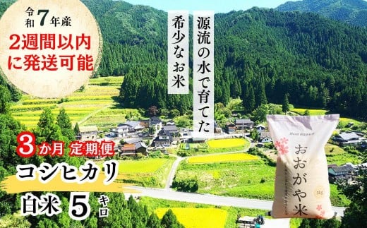 《令和7年産新米受付開始》【3回定期便】白米 5kg 令和7年産 コシヒカリ 岡山 「おおがや米」生産組合 G-af-BEFA