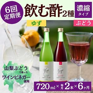 【毎月定期便】飲む酢のイメージを変える!ドリンクビネガー2種(濃縮タイプ)720ml×2本全6回【4012016】