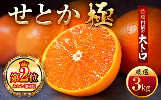「夕やけブランド」柑橘の大トロ!＜せとか＞3kg＜E49-67＞_みかん ミカン 蜜柑 せとか 果物 くだもの フルーツ デザート 甘い おいしい かんきつ 柑橘 柑橘類 国産 愛媛 愛媛県 八幡浜市 産直 産地直送 送料無料【1509770】 YWTZ059