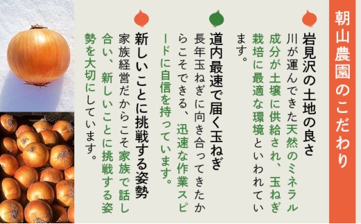 【先行予約】畑から直送の新鮮野菜！玉ねぎ（SN-3）10kg【a168-002】 10kg