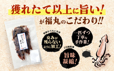 産地直送！ ホタルイカ 素干し 約500g（50g × 10パック）網元漁師が厳選！ 便利な小分け袋 全国トップクラスの漁獲量 越前町よりお届け 【福井県 海鮮 ほたるいか おつまみ 酒の肴 お取り寄