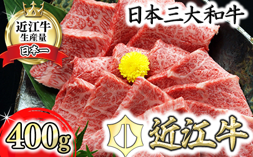 【2月末までに発送】近江牛A5ランクカルビ焼肉用【400g】【DG04U-2m】