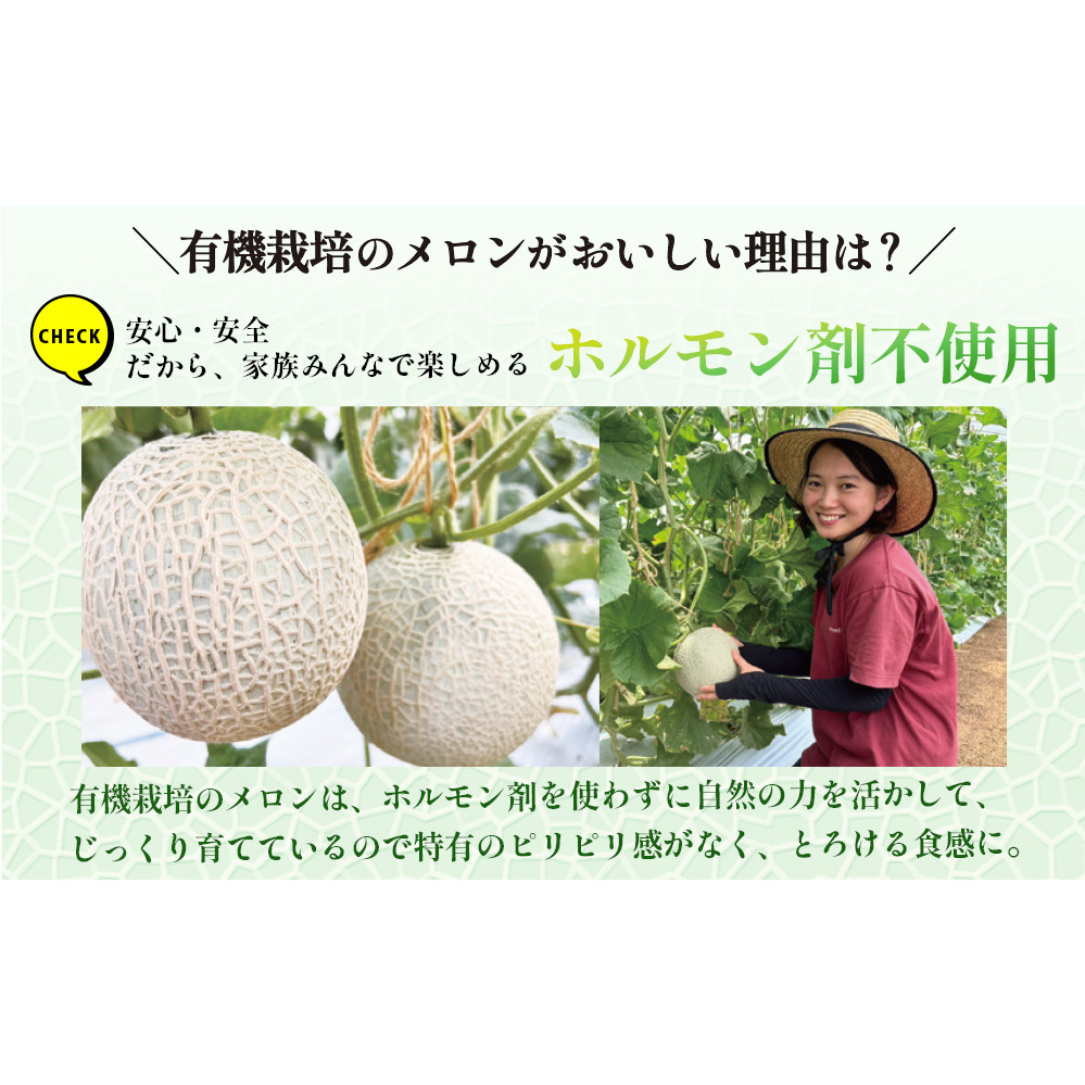 【期間限定】有機メロン「あま玉」1玉 Lサイズ 1.4kg～【R8年7月15日より順次発送】_イメージ3