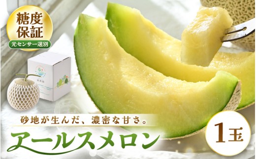 【先行予約】 アールスメロン (緑肉) 1玉 糖度15度以上 三里浜砂丘地産 糖度保証 【2026年9月上旬以降順次発送予定】 メロン めろん フルーツ デザート 果物 くだもの 果実 糖度 甘い 産地直送 国産 [A-22104]