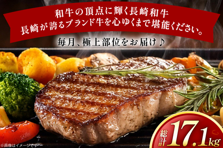 牛肉 和牛 牛一頭プレミアム定期便「長崎和牛をまるごと堪能」 12回 総計17.1kg