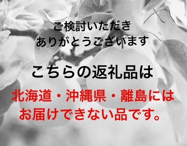 ZZ-13　岡山県産　あたご梨３～６玉　青秀以上（約４kg）化粧箱入り