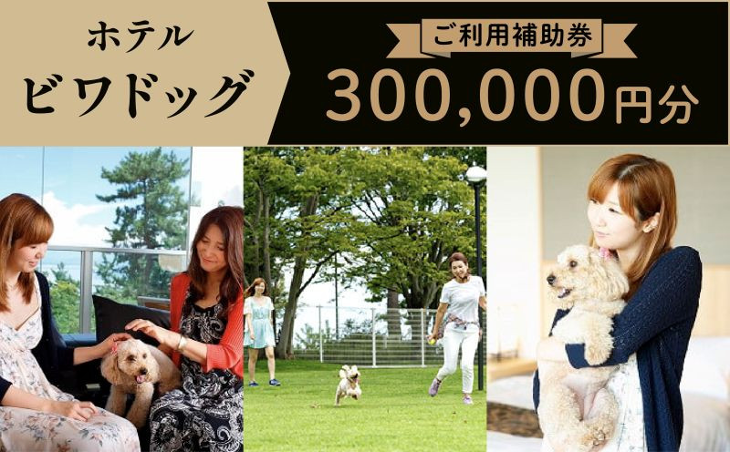 
ホテルビワドッグ【ご利用補助券】300,000円分
