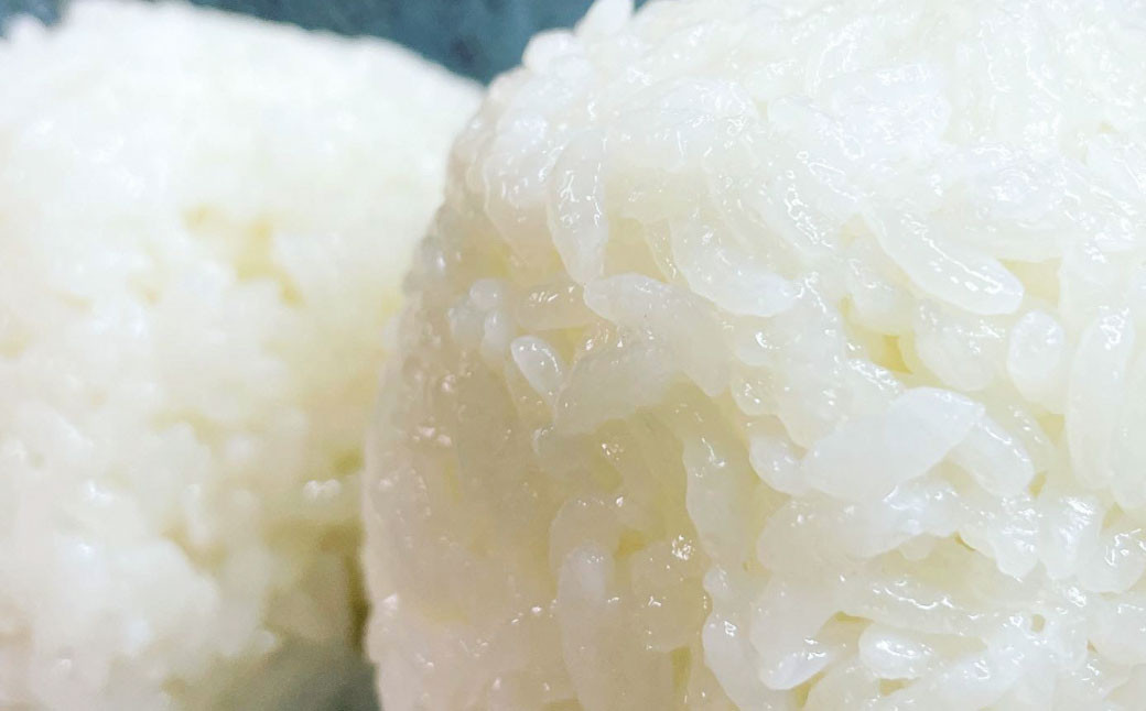 【令和7年産米】空舞米 新潟県村上市岩船産 コシヒカリ 精米 5kg・新之助 7kg（合計12kg）B4090 