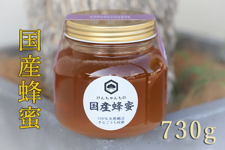 けんちゃんちのはちみつ（730g）大《30日以内に出荷予定（土日祝除く）》| ふるさと納税 はちみつ ハチミツ 蜂蜜 国産蜂蜜 天然蜜蜂 徳島県 佐那河内村 送料無料