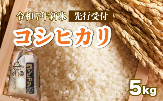 【先行受付】令和7年新米 コシヒカリ 白米5kg 2025年8月下旬～発送 お米 米 精米 ごはん ご飯 広島県 三原市 187004