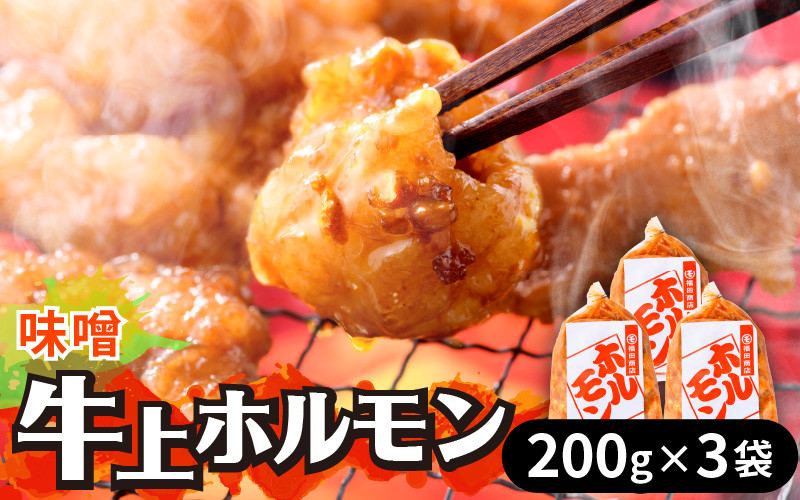 
            牛味噌 上ホルモン 200g×3袋（1～2人前×3袋） 計600g ＜絶品！炒めるだけ簡単！＞ ／ 味付け 肉 焼肉 BBQ バーベキュー もつ ホルモン 小分け おつまみ 冷凍 アウトドア やみつき 人気
          