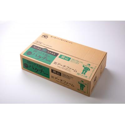 ふるさと納税 岡山市 岡パク(岡山のマイルドなパクチー)　100g×10束 |  | 02