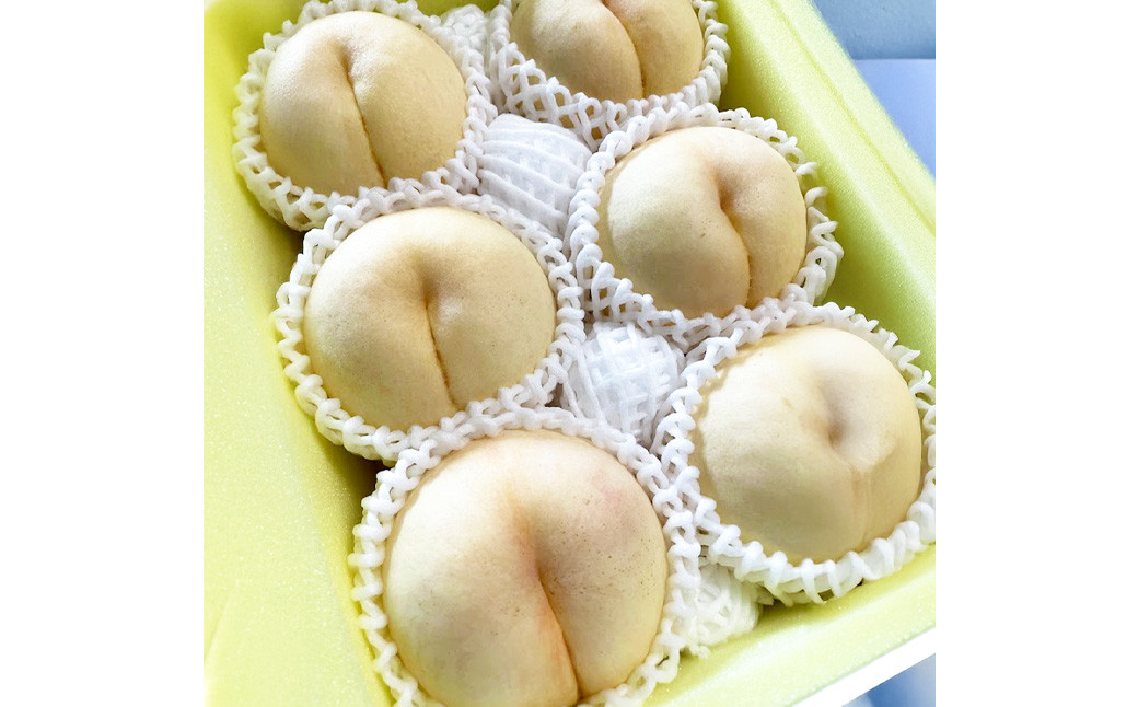 
            【先行予約】 希少品種 ・ 岡山の白桃 ・ 白露 1.5kg箱（約4個～6個） 【2025年9月発送予定】 ／ 桃 もも モモ はくとう はくろ 果物 くだもの フルーツ デザート 冷蔵
          