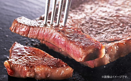 ＜定期便5回＞とちぎ和牛の厚切りヒレ＆サーロインステーキ 食べ比べ 計約2.8kg【栃木県共通返礼品】 | 和牛 定期便 栃木県 茂木町