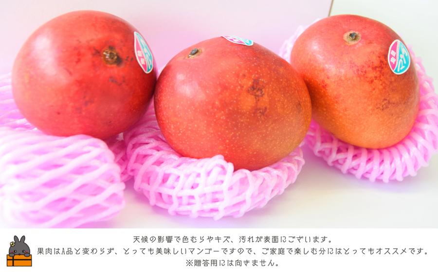 《今が旬！》【家庭用】徳之島センチュリー果樹園さんの完熟マンゴー2kg ( マンゴー フルーツ わけあり 訳あり 訳有 果物 完熟 無加温 徳之島 世界自然遺産 美味しい とろける 旬 贅沢 糖度 南