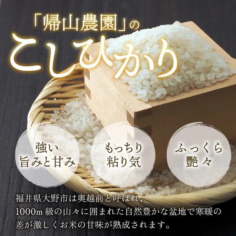 【令和8年産 新米】【3ヶ月定期便】越前大野産 一等米 帰山農園の棚田育ちコシヒカリ 5kg 無洗米
