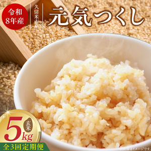 【定期便3回】【令和8年産 新米】福岡県産ブランド米元気つくし 玄米 5kg×3回 _  元気つくし 5kg お届け回数 3回 定期便 福岡県産 ブランド米 新米 福岡生まれ 品種 香り豊か ふっくら