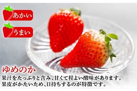 【先行予約】お徳用 いちご 1kg イチゴ 苺 バラ詰め ゆめのか 恋みのり ゴロゴロ生いちご 中玉小玉サイズ 【2025年2月以降順次発送】《壱岐市》【蒼花】 [JEO002] 9000 9000円