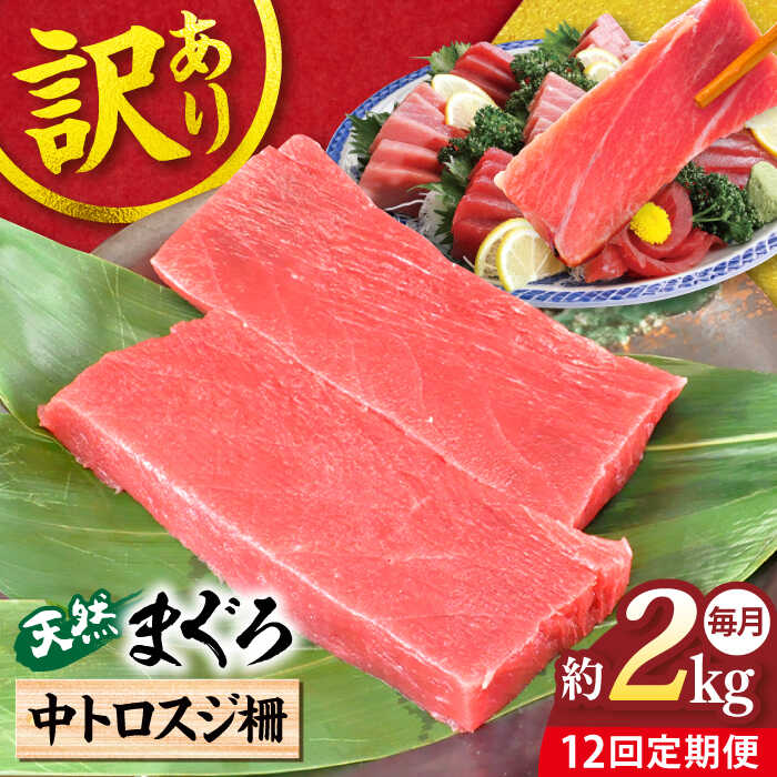 【ふるさと納税】【全12回定期便】【訳あり】天然 本まぐろ 中トロスジ（約2kg） マグロ 定期 鮪 まぐろ 中とろ 刺身 定期便 横須賀 規格外 【本まぐろ直売所】[AKAK073]