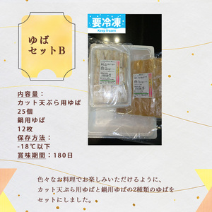ゆば平 ゆば セット B【 カット 天ぷら 用 + 鍋 用】 | 湯葉 冷凍
