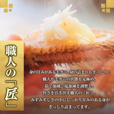 ふるさと納税 稚内市 【稚内産・極】  浜ゆで毛ガニ(堅蟹) 570g×2尾 |  | 03