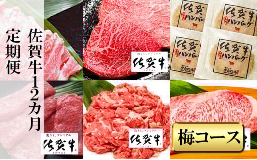 
            【定期便セット】【全12回】佐賀牛『梅コース』(ロースステーキ/ローススライス/ハンバーグ/切り落とし)
          