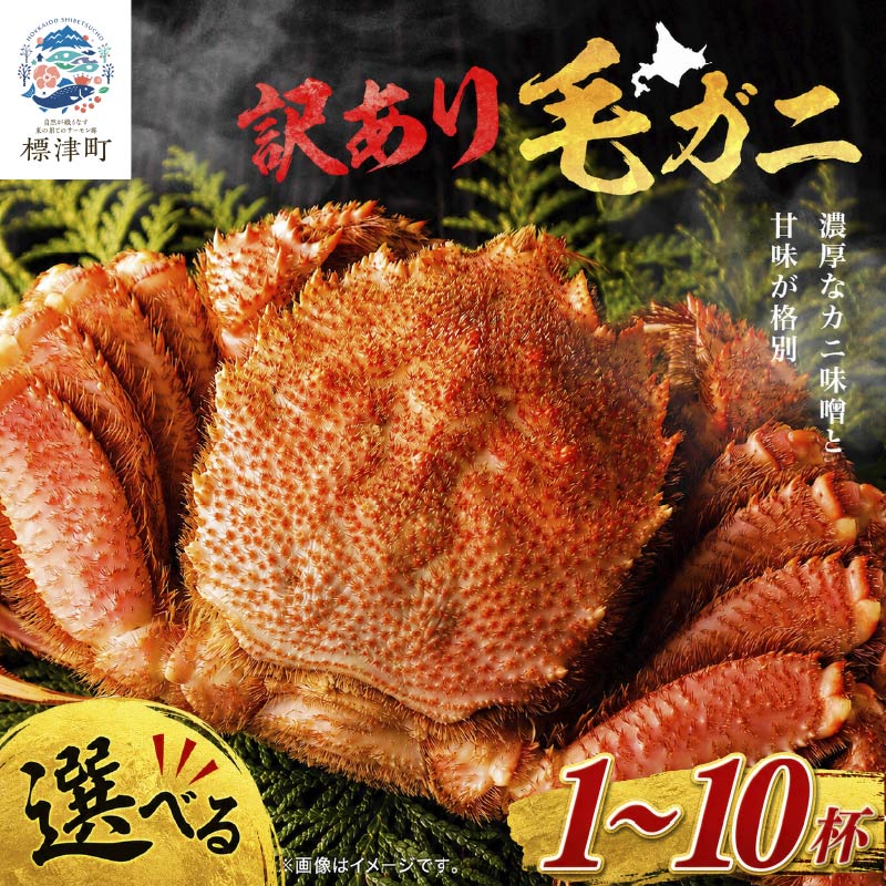 【ふるさと納税】 溢れる旨味！ 毛ガニ 若蟹 選べる 1~10杯 訳あり 国産 北海道 羅臼産 蟹 カニ 毛がに 毛蟹 冷凍毛ガニ 冷凍かに 訳ありカニ 訳アリ 人気 ランキング おすすめ ごほうび 贅沢 毛ガニ冷凍 魚貝類 魚介類 海鮮 魚介 魚貝 北海道 標津町 ふるさと納税かに