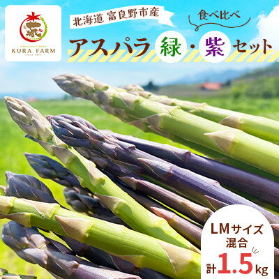 【ふるさと納税】【2026年発送】富良野市産 アスパラ 緑・紫(LMサイズ混合 計1.5kg) 〈藏ファーム〉【配送不可地域：離島】【1505724】