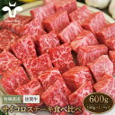 【ふるさと納税】【牧場直送】佐賀牛 サイコロステーキ 食べ比べセット 600g（150g×4パック）【有限会社セントラル牧場】小分け 黒毛和牛 肉 お肉 牛肉 BBQ [IAH067]