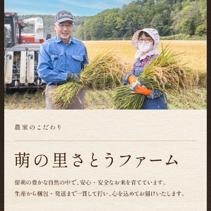 【6ヵ月定期便】北海道南るもい産　ななつぼし(白米)5kg×2袋 R011-037