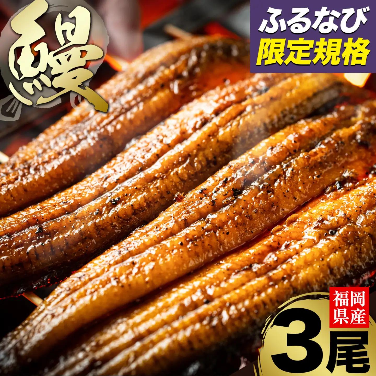 ★ふるなび限定★ 福岡県産 うなぎ 鰻 3尾  計330g