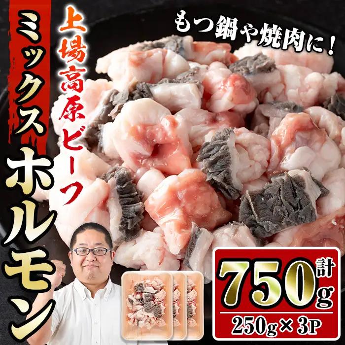 上場高原和牛 ミックスホルモン 750g 牛肉 ホルモン 【スーパーよしだ】 i1157