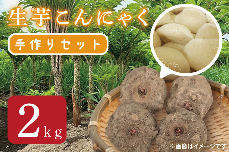 
            生芋こんにゃく手作りセット 【こんにゃく芋（みやままさり）2kg ・凝固剤・レシピ付き】｜こんにゃく こんにゃく芋 手作り 令和6年度 大子町産 刺身 蒟蒻 田舎(CL003)
          