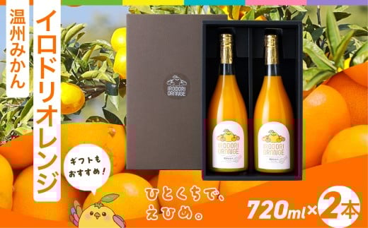 【イベント応援】イロドリオレンジ（温州みかん）720ml×2本 ※離島への配送不可 【ふるさと納税 人気 おすすめ ランキング みかん 蜜柑 ミカン ジュース みかんジュース ミカンジュース イロドリオレンジ 温州ミカン 温州みかん IRODORI ORANGE フェス イロドリ 愛媛県 伊方町 送料無料 】 IKTAS002