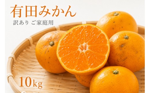和歌山 有田 みかん 10kg 訳あり ご家庭用 2S～2Lサイズ混合 / 有田みかん 甘い 柑橘 和歌山 ※2026年11月下旬頃～12月下旬頃に順次発送予定【uot004-c-10】