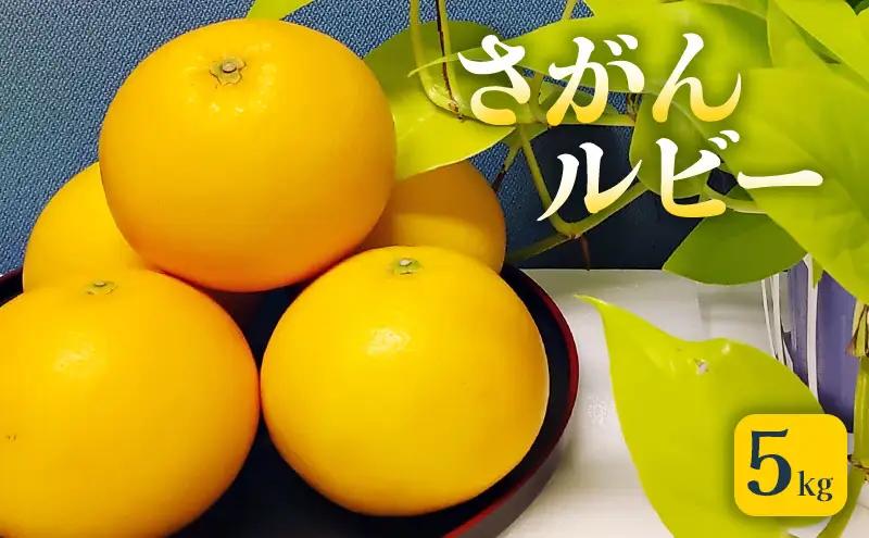 グレープフルーツ さがんルビー 佐賀県産 グレープフルーツ【5kg】