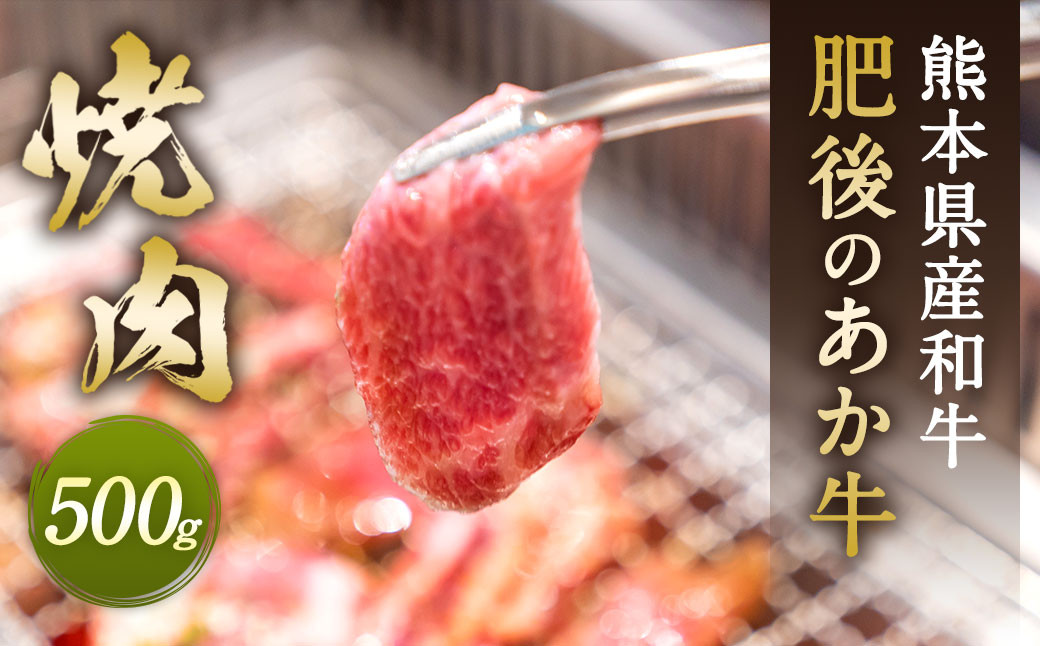 
肥後のあか牛 焼肉用 500g 熊本県産 和牛 G-33
