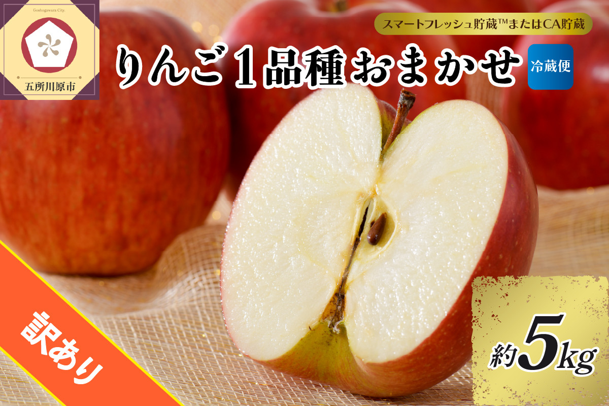 
            【選べる配送時期】【訳あり】りんご 約5kg 青森産 【おまかせ1品種】【スマートフレッシュ貯蔵またはCA貯蔵・クール便】
          