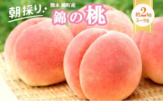 
                  桃 白桃 先行予約 錦の桃 2kg 約5玉～9玉 もも モモ フルーツ 果物 デザート 2026年発送 鎌木果樹園 配送不可:離島
                