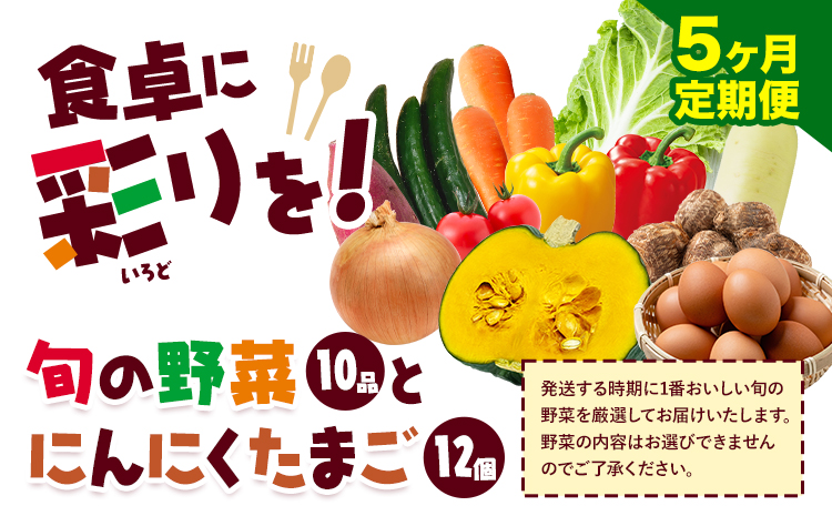 旬の野菜とたまごのセットメロンドーム 野菜 卵 にんにくたまご 卵 詰め合わせ 5ヶ月 定期便 有限会社七城町特産品センター《お申し込みの翌月から出荷》熊本県 菊池市 セット 新鮮 国産 九州産 熊本