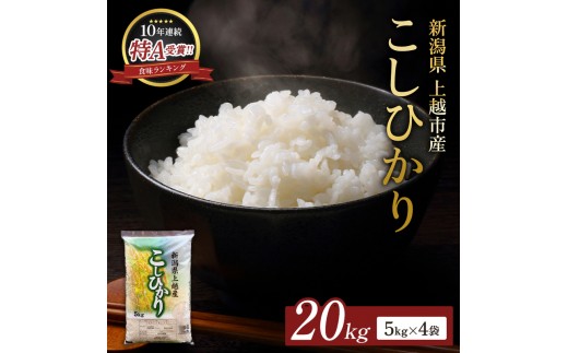 【12月上旬配送】令和8年（新米） 新潟県上越市産 コシヒカリ 20kg 無洗米 こしひかり お米 精米 米 ご飯 五つ星お米マイスター 大黒屋商店